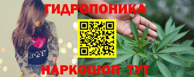 мяу мяу мука Нальчик