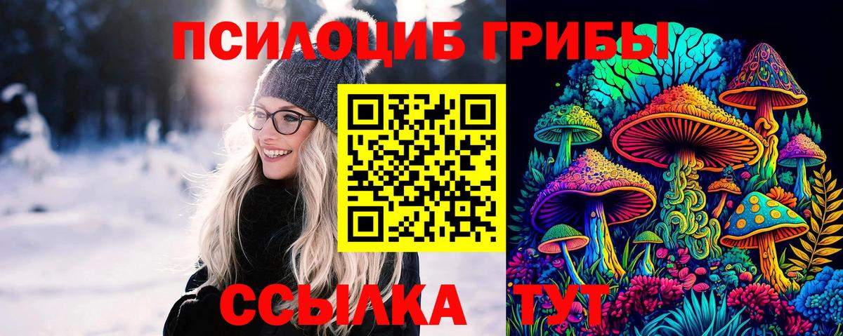 Кудымкар  купить наркотики цена  Вход с VPN  Галлюциногенные грибы Magic Shrooms 